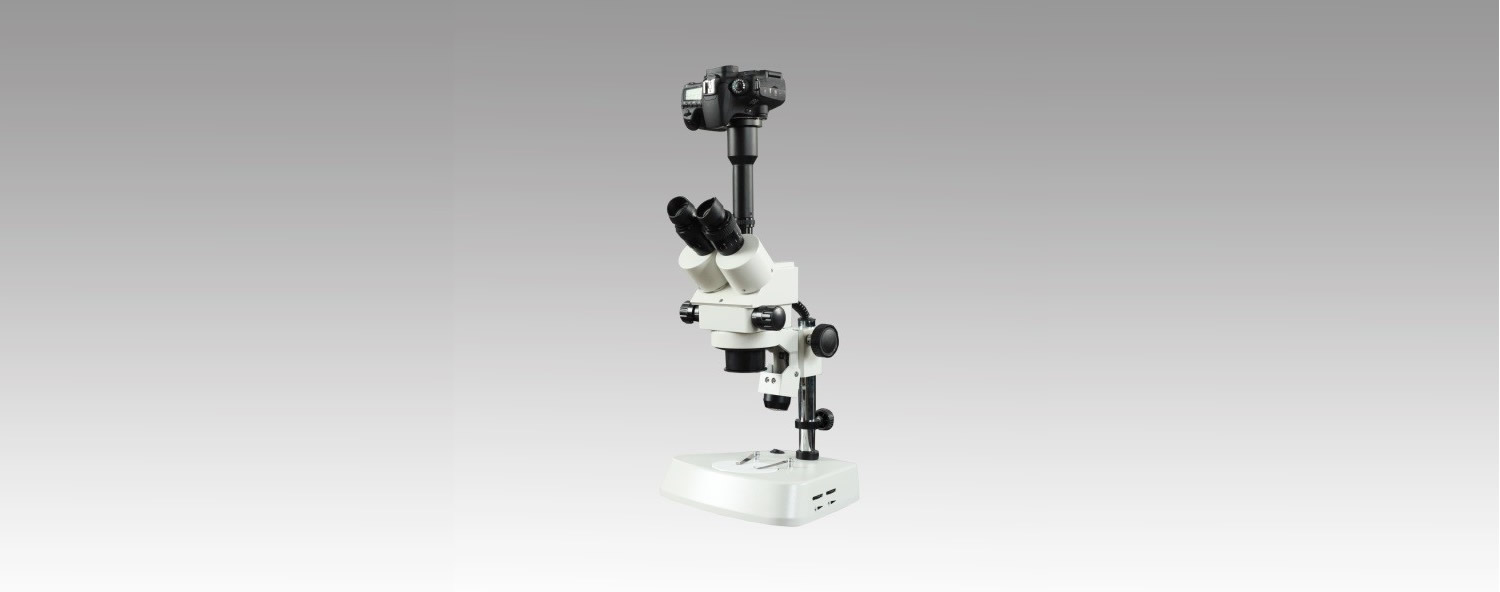 XLC系列数码体视显微镜