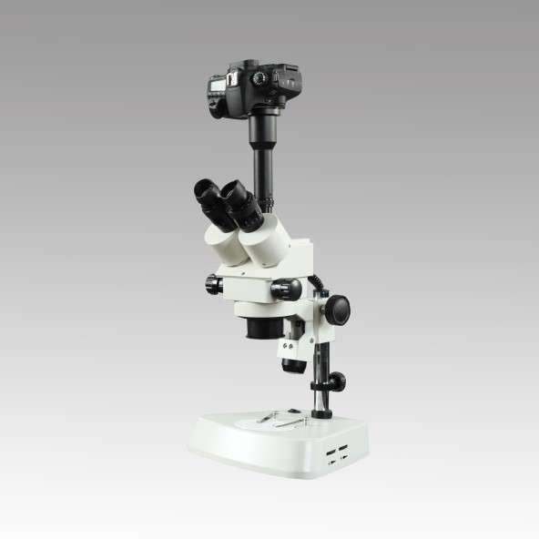 XLC -1A/1B型双目/三目体视显微镜          