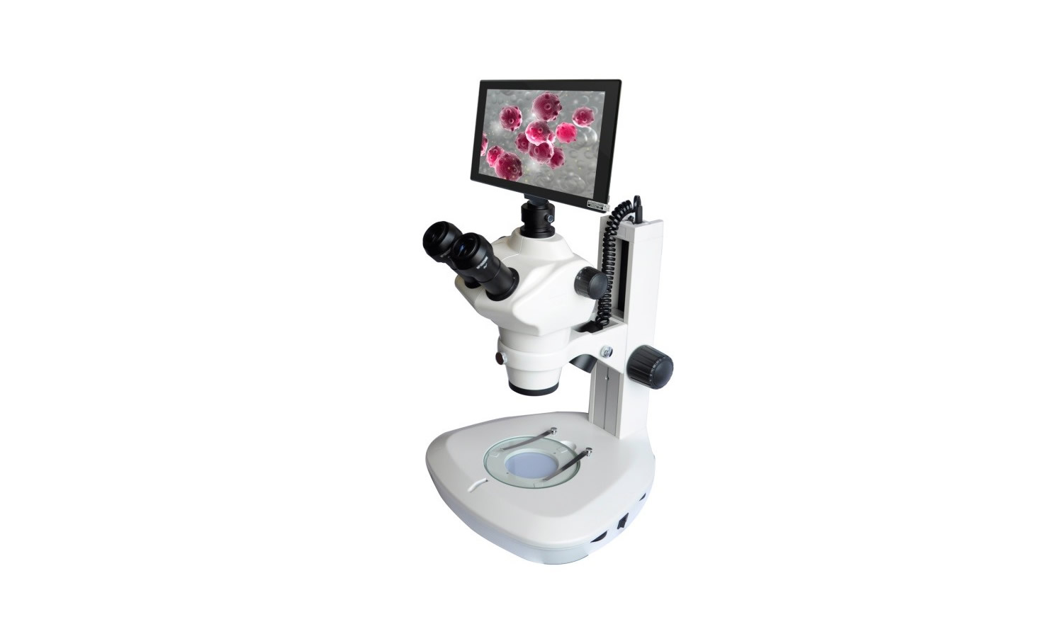 XLC-606系列体视显微镜 