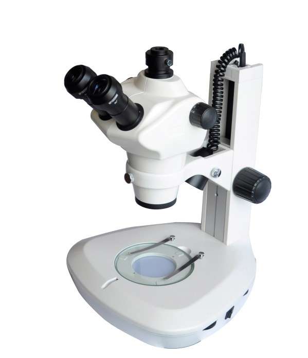 XLC -606型体视显微镜       