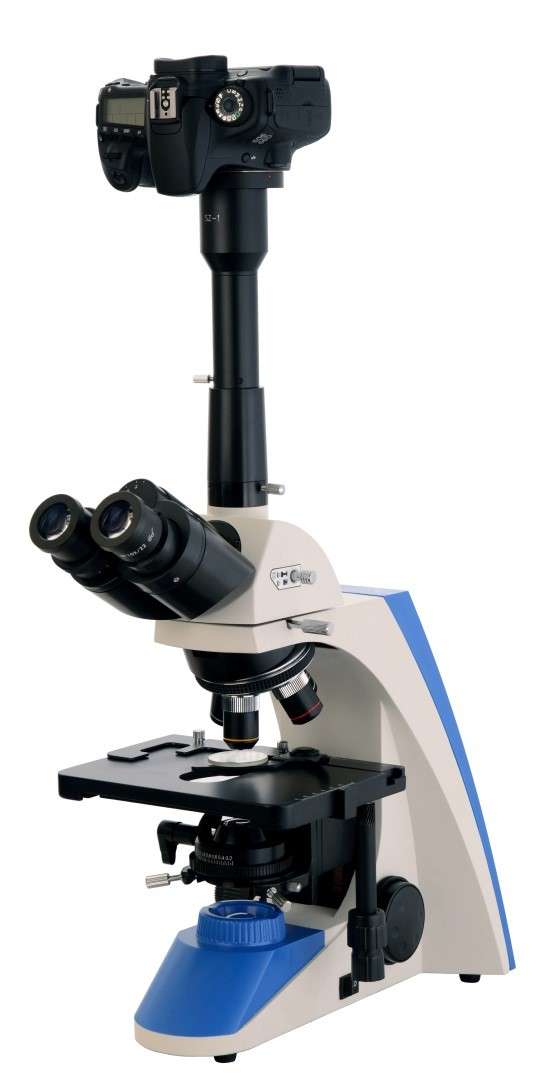XBL-600型三目生物显微镜